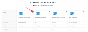 Remove online school